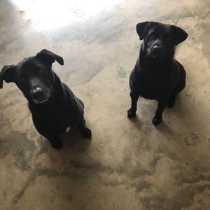 Meet your Posher, Janet